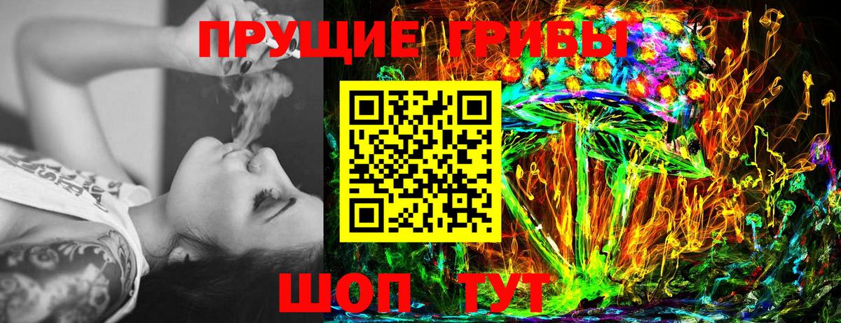 Галлюциногенные грибы Psilocybe Братск