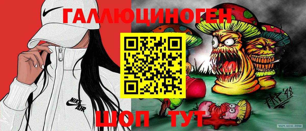 Братск  Псилоцибиновые грибы Psilocybe  Галлюциногенные грибы прущие грибы  Вход с VPN 