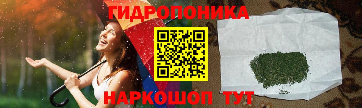 Бошки марихуана марихуана Братск